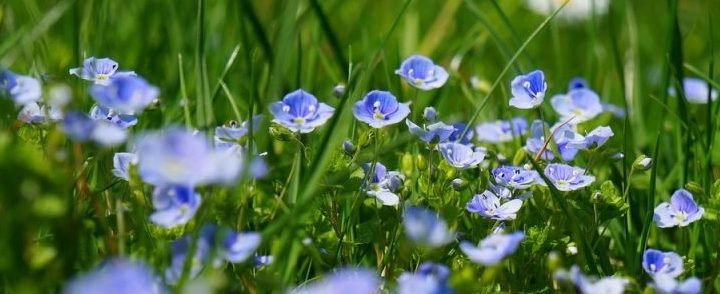Tuin van weldadigheid Oudbergveen