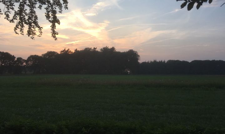 Nazomeren in Drenthe